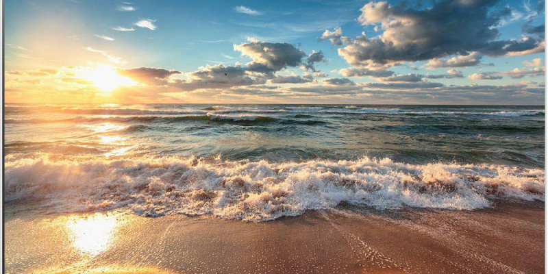 Panasonic LED FX800B 55"