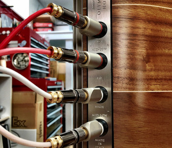 Para melhor desempenho, a caixas têm terminais duplos (bicablagem)