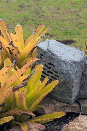 A caixa acústica em formato de pedra passa despercebida em meio à vegetação do jardim