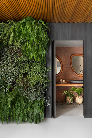 Na entrada do lavabo, o criativo jardim vertical surge como interessante recurso estético.