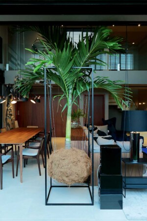 As duas caixas surround bookshelf foram montadas sobre delicadas peças de marcenaria.