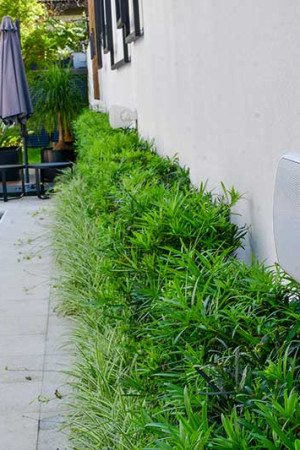 Uma das várias caixas acústicas outdoor instaladas nas áreas externas