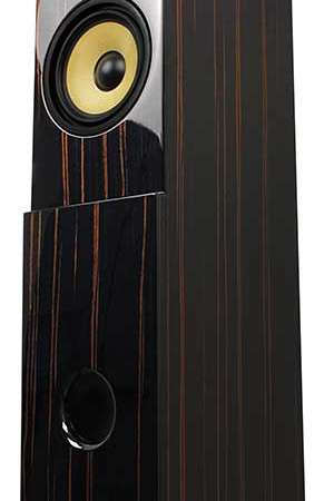 Caixa acústica torre T100W