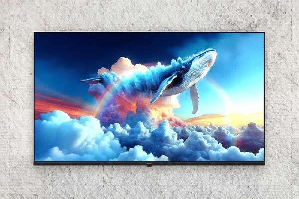 LED Philips PUG7019 75"