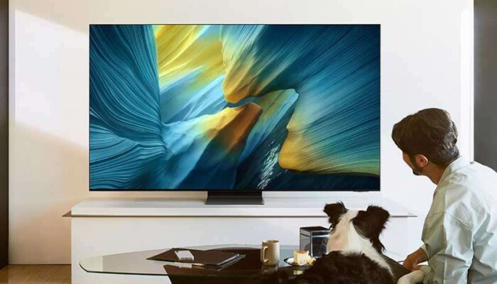 OLED Samsung S95F 65"